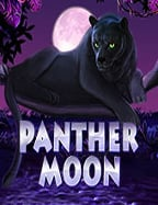 ค้นพบ best casino online ที่ไม่ควรพลาด